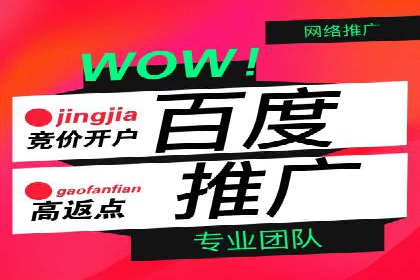 SEM竞价优化实战经验分享：成功案例背后的秘密